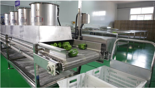 中央草莓污视频免费下载工程图片