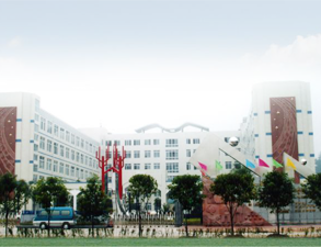 乐山外国语小学学校食堂草莓污视频免费下载设备工程项目