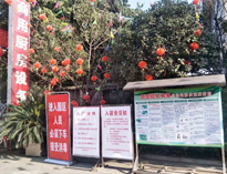 疫情无情人有情，我为抗疫做贡献！